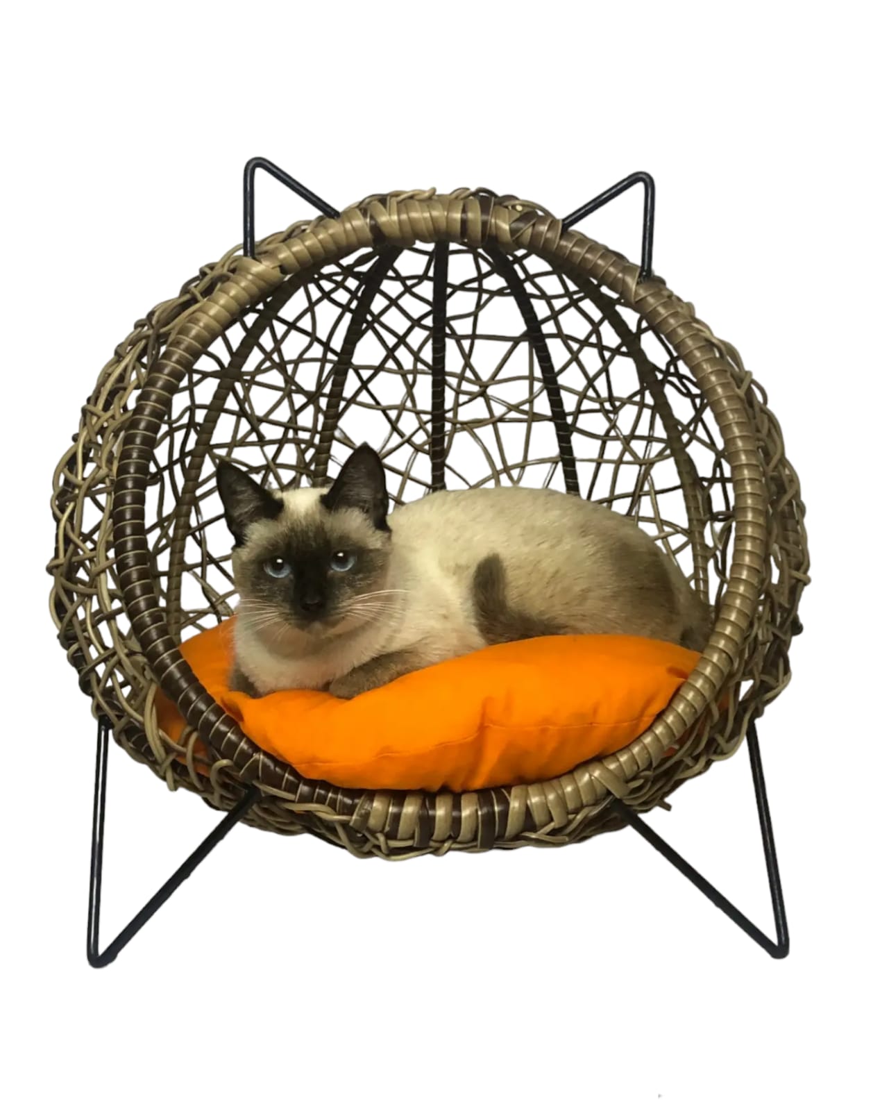 Papasan AM Cosy