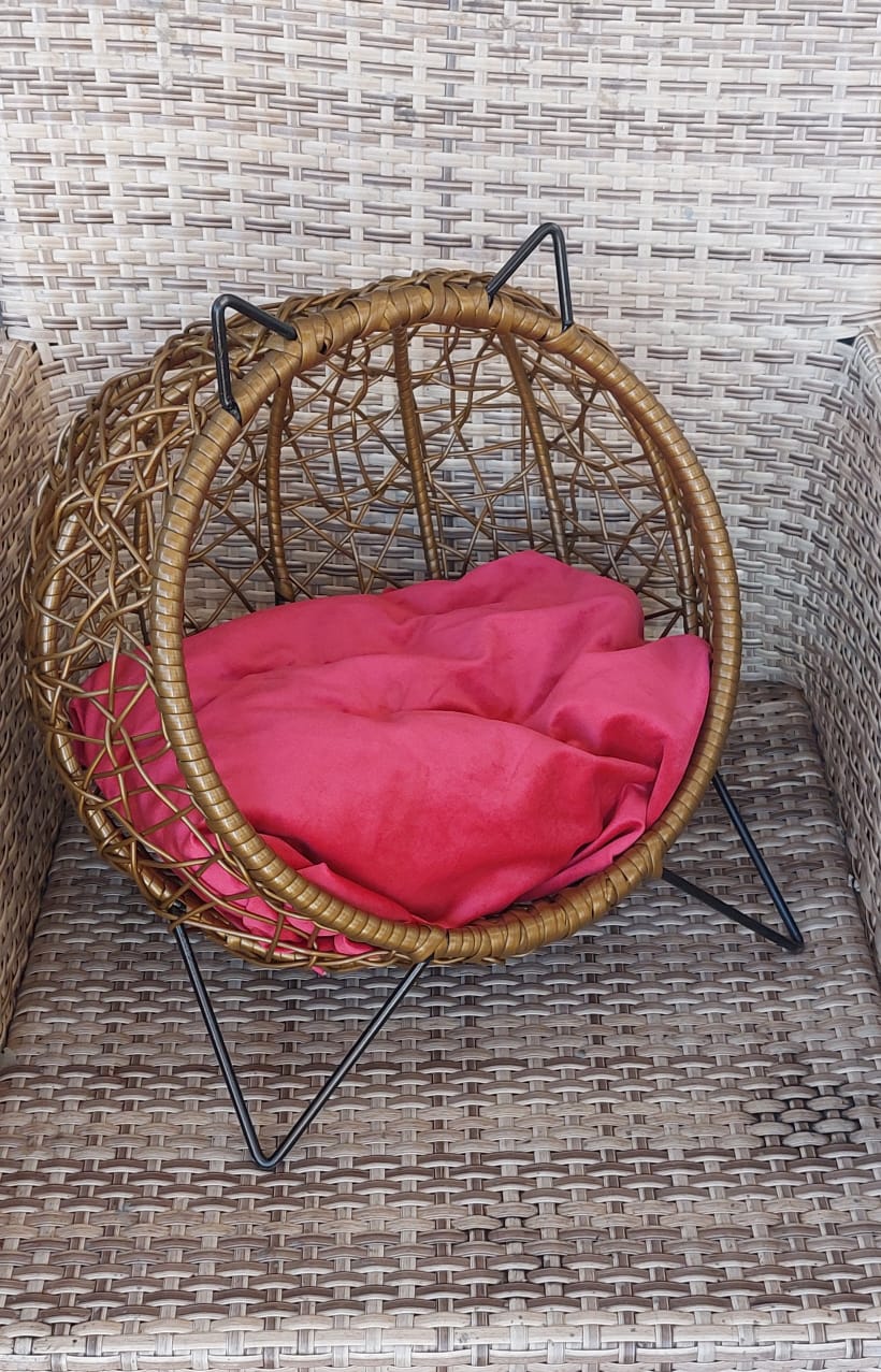 Papasan AM Cosy