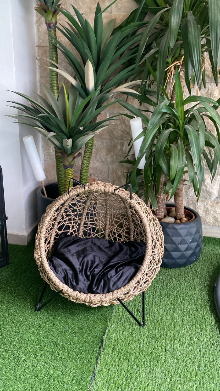Papasan AM Cosy