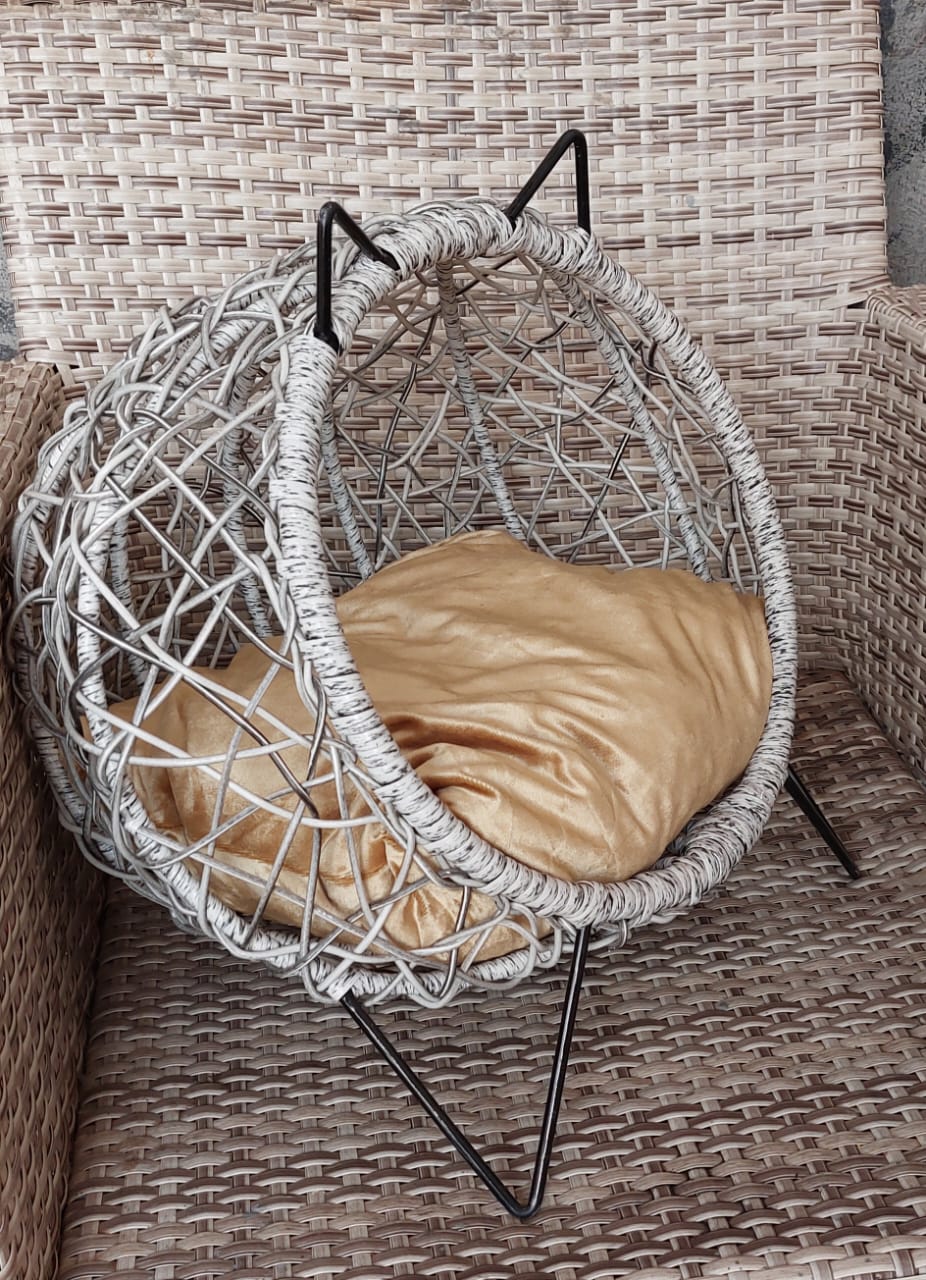 Papasan AM Cosy