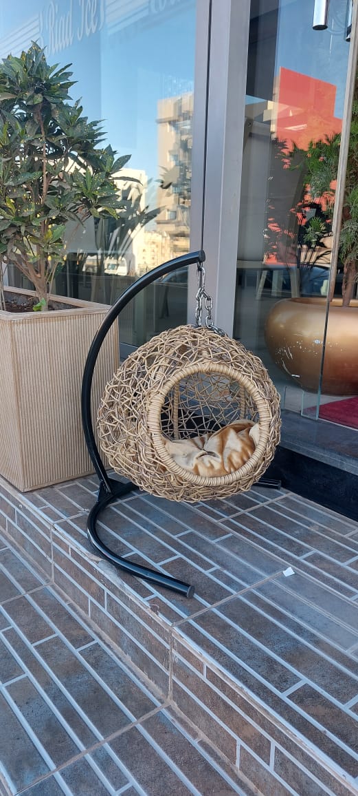 Papasan AM Luxe