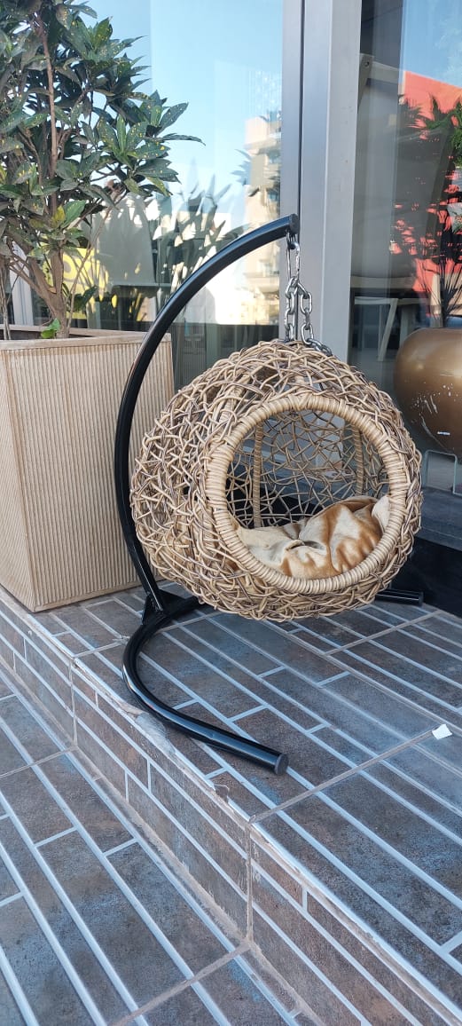 Papasan AM Luxe
